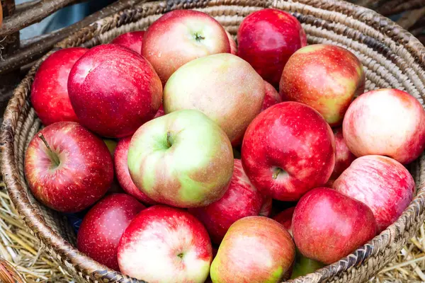 Kırmızı elmalar. Bir grup kırmızı elma. Sağlıklı yemek için konsept ürünler. Sağlıklı yiyecekler. Organik Ürünler. Sonbahar hasadı