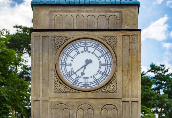 The clock on the tower. Round dial of the  clock on the background of the sky and trees. Concept Time runs. time concept. timepiece, timer, timekeeper, ticker.