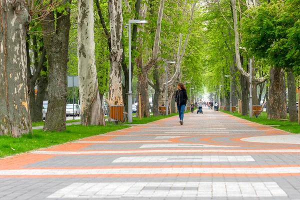 Park sokağı. Şehir Parkı. Bulvar boyunca yürü. ara sokak 