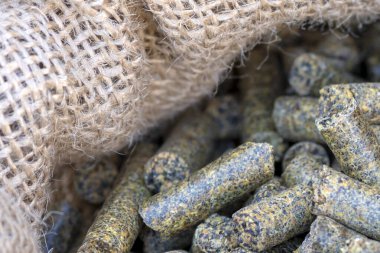 Pellet Prodüksiyon, ahşap pelet. Alternatif yakıt kaynağı. Biyoyakıt kavramı. Topak ayçiçeği. ezilmiş ayçiçeği atıkları