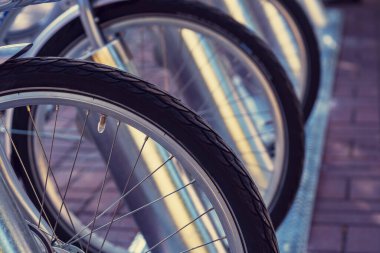 Kiralık bisikletleri var. Bisiklet sıraları. Bisiklet tekerlekleri yakın plan. Turist, şehir geçmişi