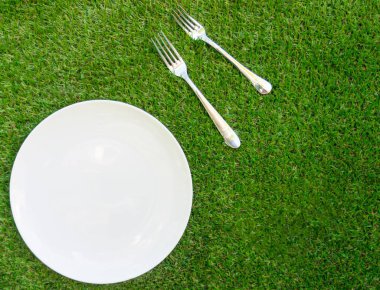 Çatal bıçaklı tabak. Tabaklar, piknik, tabak ve çatallar yeşil çimlerde. Çimlerde yemek aletleri.