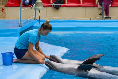  Kız, yunuslarla antrenör. Kişinin deniz hayvanlarına olan sevgisini kavra. Doğadaki uyum. Hayvanlara karşı dikkatli ol. Yunusevi tren ve evcil deniz hayvanları uzmanları