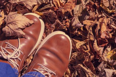 Sonbahar yaprakları, bacaklar ve kahverengi ayakkabılar. Kavramsal Sonbahar kompozisyonu. Sonbahar ormanında yürüyen ayak ayakkabıları. Yaprak düşüşü kavramı