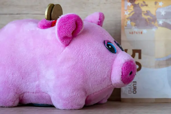 Pink Piggy Bank. Money box. Banknotes, Coins.  saving , Financial and money deposit concept. Careful investment. Risk free finances.