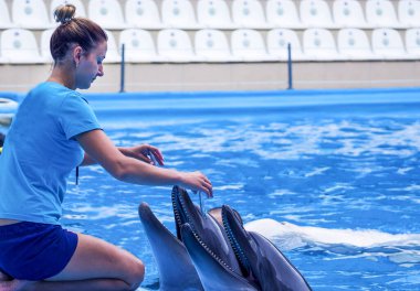  Kız, yunuslarla antrenör. Kişinin deniz hayvanlarına olan sevgisini kavra. Doğadaki uyum. Hayvanlara karşı dikkatli ol. Yunusevi tren ve evcil deniz hayvanları uzmanları