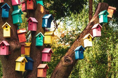Çok renkli kuş evleri. Renkli yuva kutuları. Renkli Kuş Evleri. Trene binen kuşlar için evler