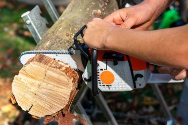 Elektrikli testereyi tut. Ağaç kesme testeresi. Kış için yakacak odun hazırlıyorum. Profesyonel elektrikli testereyi kapat. Ağaçları kesmek için testere. Kapat. 