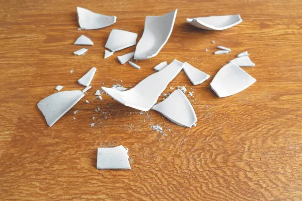 White Shards of a Broken Plate on the  background. splinters of a shattered Plate. Fragments of a white tableware on the floor. Shards and pieces of a broken dish