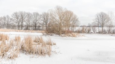 Soğuk ve karlı kış manzaraları