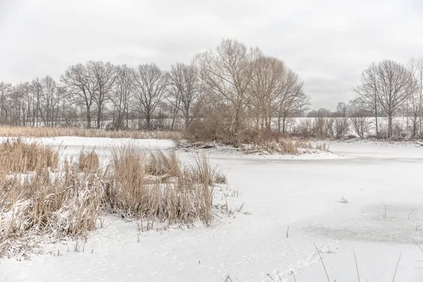 Koude Besneeuwde Winterlandschappen — Stockfoto