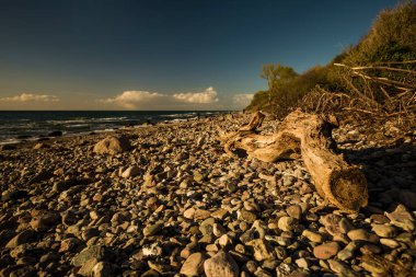 Baltık Denizi 'nin ıssız sahillerinde gün batımı