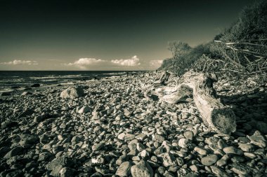Baltık Denizi 'nin ıssız sahillerinde gün batımı
