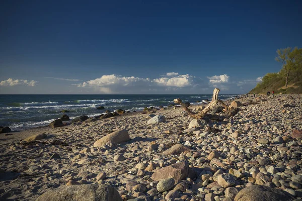 Zonsondergang Het Eenzame Strand Van Baltische Zee — Stockfoto