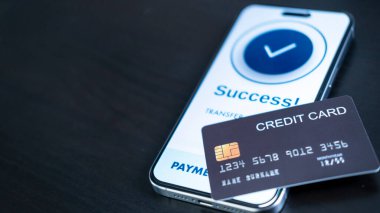 Akıllı telefon ekranı, kredi kartıyla başarılı bir ödeme doğrulaması gösteriyor. Görüntü dijital ödemeleri, finansal teknolojiyi ve güvenli mobil işlemlerin kolaylığını vurguluyor.