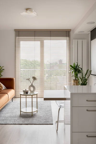 Großes Fenster Mit Jalousien Eleganten Wohnzimmer Offen Zur Küche — Stockfoto
