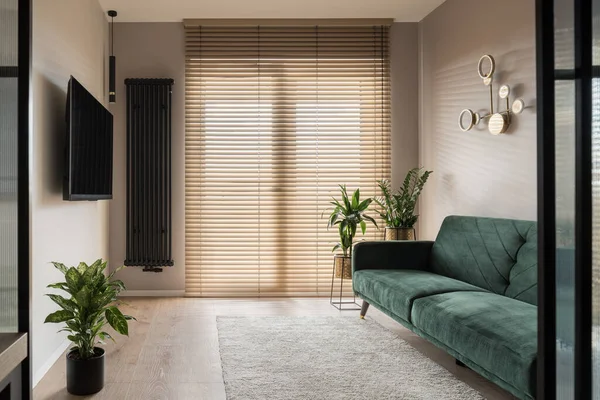 Small Stylish Living Room Big Window Wooden Blinds Green Sofa — Stock Photo, Image