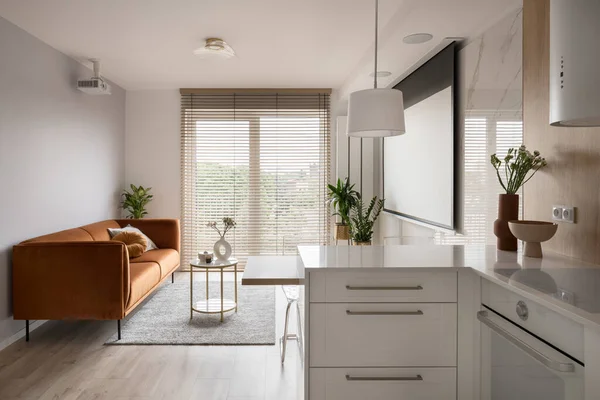 Kleine Und Elegante Wohnung Mit Projektor Und Leinwand Wohnzimmer Mit — Stockfoto