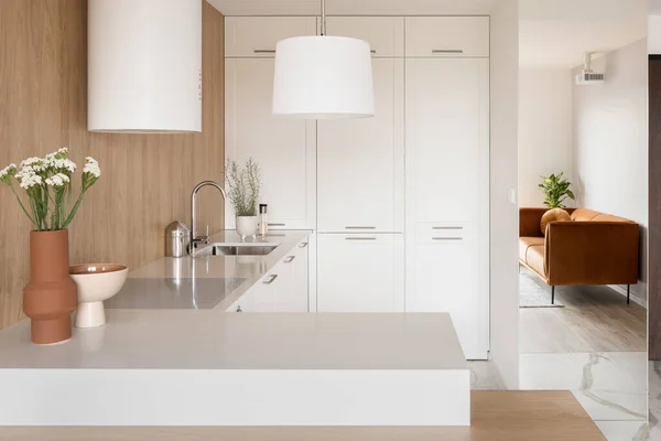 Cocina Pequeña Moderna Con Decoraciones Elegantes Muebles Blancos Estéticos Pared — Foto de Stock