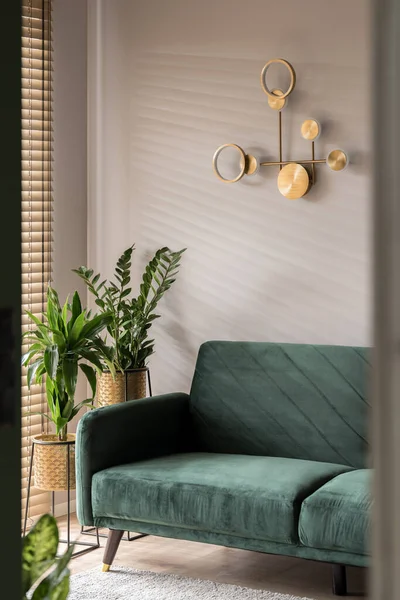 Przytulna Zielona Sofa Eleganckim Salonie Złotym Wystrojem Ścianie — Zdjęcie stockowe