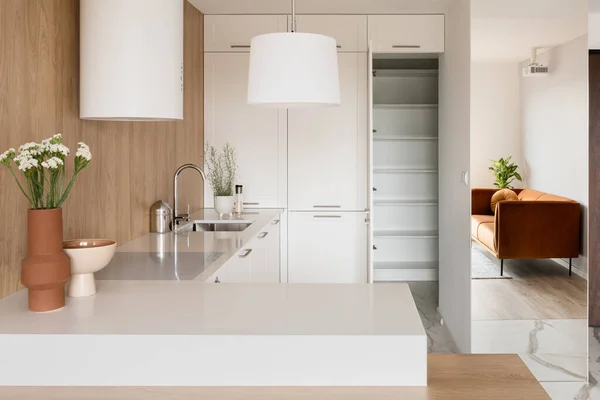 时尚的厨房 有白色的台面 家具和敞开的门 走在衣柜里 — 图库照片