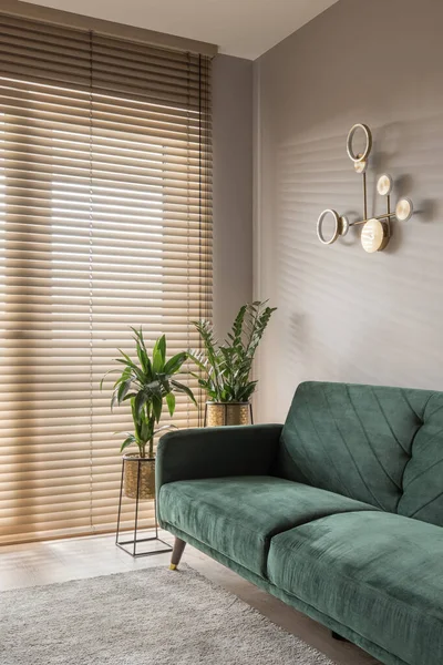 Elegantes Wohnzimmer Mit Gemütlichem Grünen Sofa Pflanzen Großem Fenster Mit — Stockfoto