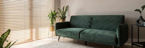 Panorama Von Stilvollem Und Gemütlichem Grünem Sofa Dekorationen Und Schwarzem — Stockfoto