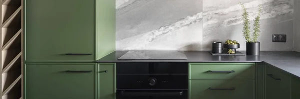 Panorama Modern Designed Kitchen Interior Green Furniture Black Countertop Oven Stock Image