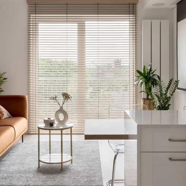Big window with wooden blinds in elegant studio apartment with stylish living room open to white kitchen