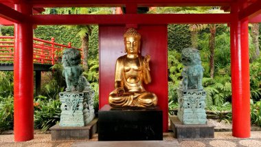 Meditasyondaki altın Buda heykeli kırmızı ahşap bir gölgeliğin altında iki taş aslanla çevrili. Bereketli yeşillik huzurlu tapınak bahçesini sarar, maneviyat ve ebedi dinginliği çağrıştırır..