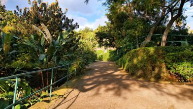 Muz yaprakları, çalılar ve yüksek ağaçlar da dahil olmak üzere tropikal bitki örtüsüyle çevrili yeşil metal korkuluklu bahçe geçidi. Güneş ışığı ve gölgeli huzurlu doğal manzara..