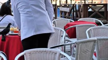 Garson, bir restoran masasına konmuş bir güvercini kovmaya çalışırken görülüyor. Arta kalan yiyeceklerden bir ısırık almaya çalışıyor. Bu Venedik 'te güvercinlerin özgürce dolaştığı ve açık hava kafelerinde davetsiz misafir oldukları tanıdık bir manzara.