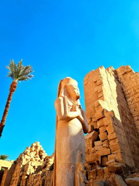 Pharaoh statue and palm tree at Temple of Karnak, Egypt, Luxor. clipart