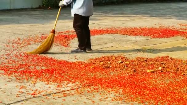 Jardinero Está Limpiando Rojo Mil Flor Roble India Cayendo Suelo — Vídeos de Stock