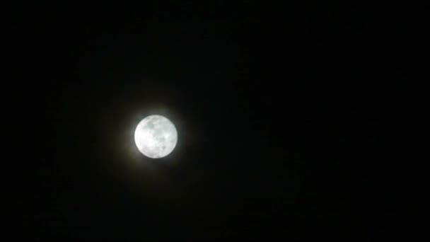 Plný Květinový Měsíc Lesklý Tmavé Noční Mrak Mrakem Procházející — Stock video