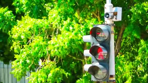 Traffic Lights Change Colors Symbols Pedestrian Crosses Road Presses Signal — Stock Video