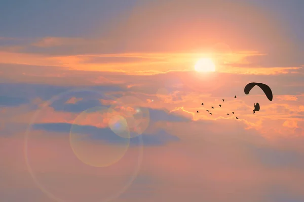 silhouette paramotor flying follow birds and sunset cloud background with fog over on the top mountain