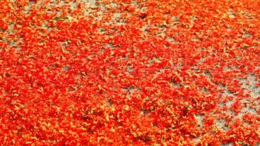 Red  thousand flower of india oak falling on the concrete floor and bee find sweet from flower