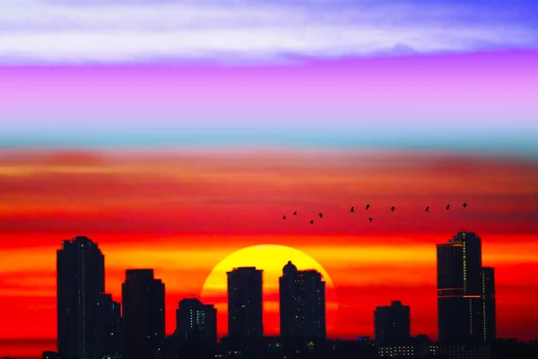 Solopgang Eller Solnedgang Rød Farve Farverig Sky Med Fugle Flyver - Stock-foto