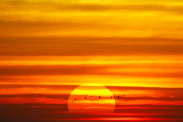 Ανατολή Ηλίου Ηλιοβασίλεμα Ουρανό Κόκκινο Πορτοκαλί Ζεστό Σύννεφο Τόνο Πουλιά — Φωτογραφία Αρχείου