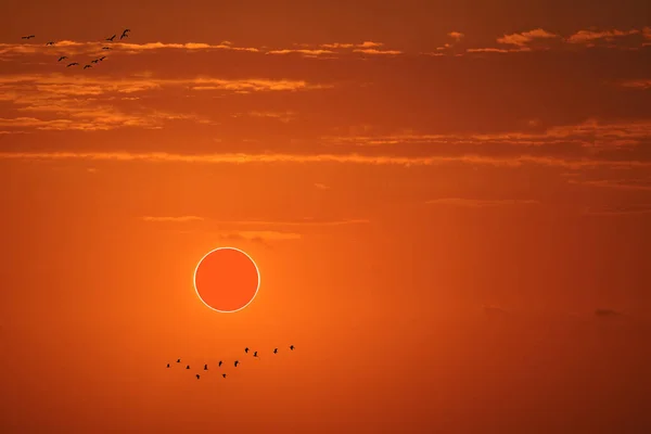 Eclipse Solar Total Céu Vermelho Laranja Pela Manhã Elementos Desta — Fotografia de Stock