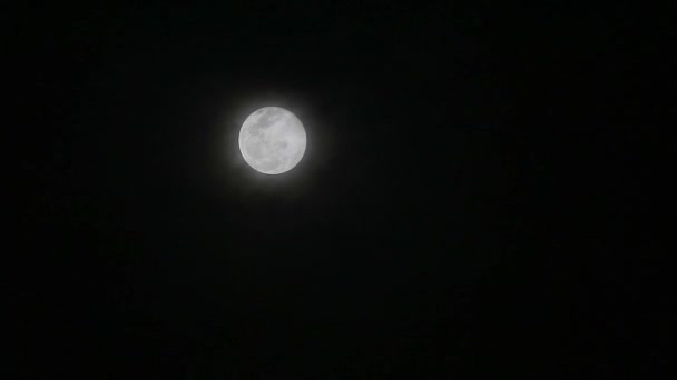 Lune Fleur Brillante Sur Nuage Nuit Sombre Avec Nuage Passant — Video
