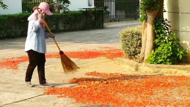 Tuinier Het Reinigen Van Rode Duizend Bloem Van India Eik — Stockvideo