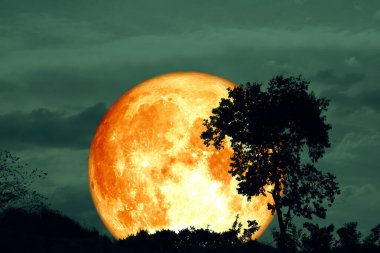 Tarlada ve gece gökyüzünde tam kabuklu kanlı ay ve siluet ağacı, NASA tarafından desteklenen bu görüntünün elementleri