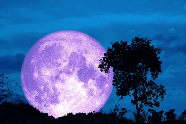 Volle Erdkruste Purpurfarbener Mond Und Silhouettenbaum Feld Und Nachthimmel Elemente — Stockfoto