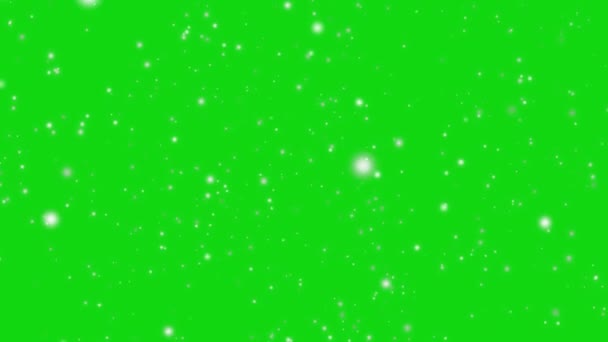 ブラックスクリーン上から落ちるブラーボケの抽象的な輝く雪粒子 — ストック動画