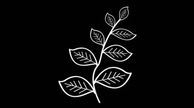 Yaprakları ve genç dalı siyah izole edilmiş üzerine beyaz ton rengini çizer