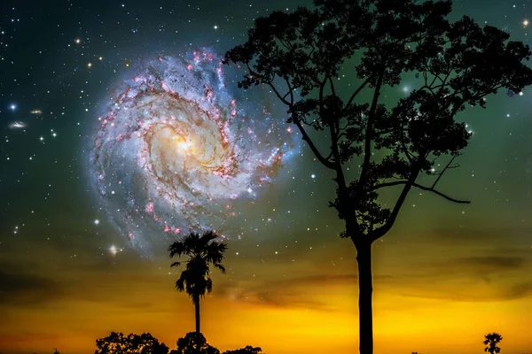 Galaxy M83 Sziluett Naplemente Sötét Lila Elemei Ezt Képet Által — Stock Fotó