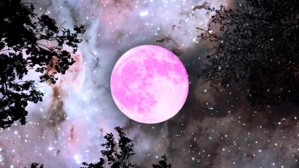 Super Pleine Lune Rose Dessus Arbre Branche Silhouette Sur Espace — Video
