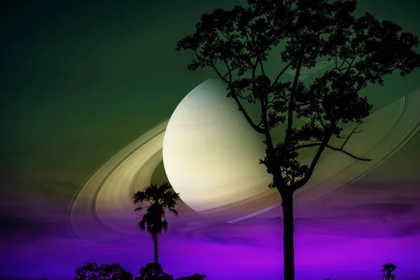 Сатурн Силуэт Дерева Закат Темно Фиолетового Неба Элементы Этого Изображения — стоковое фото